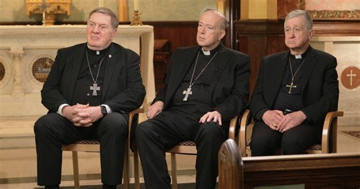 Pope Leo's voice on American politics