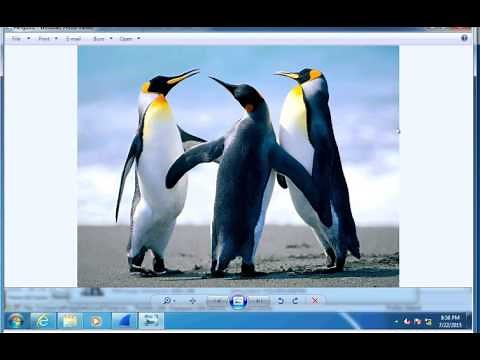 File Carving using Wireshark
