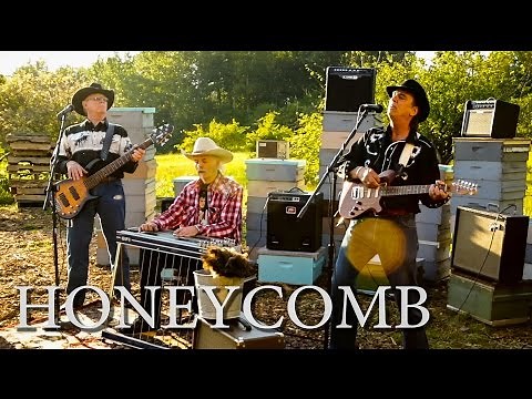 HONEYCOMB | The Bushwackers Band - OFFICIAL Music Video