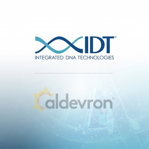 Aldevron’s high-quality manufacturing processes provide researchers with consistent and reliable #CRISPRnucleases, helping to accelerate the path to clinical trials. Establish a bridge from the lab to therapeutic development. We’ll help. Learn more here: https://idtb.io/gxsu8e #IDT #IDTdna #Aldevron #CRISPR #CRISPRexperiments #CRISPRapplications | Integrated DNA Technologies | Facebook