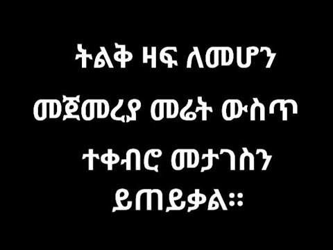 እዴት አደራችሁ