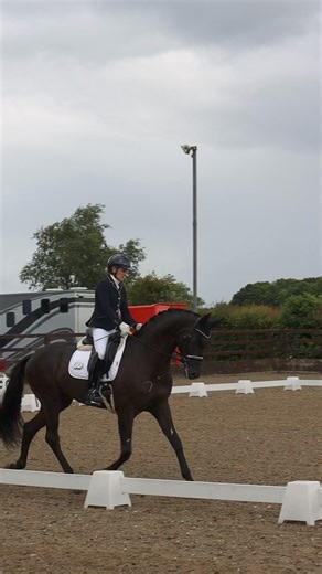 8.1K views · 42 reactions | The KBIS British Equestrian Insurance Young Dressage Horse and Pony Championships provides competition opportunities to help educate and produce the future stars of our sport!⭐️ We are looking forward to our first Young Dressage Horse Semi final of 2024 and the Young Dressage Pony final at Hartpury University and College next week! #BritishDressage | British Dressage | Facebook
