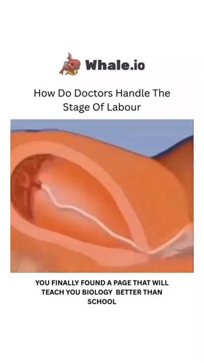 BIOLOGY | HEALTH | MEDICAL | Doctors handle labor by monitoring the mother and baby, assessing cervical dilation and the baby's position, and intervening with... | Instagram