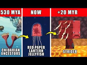 Strider Origin Evolution: How Strider Could Have Evolved In Real Life