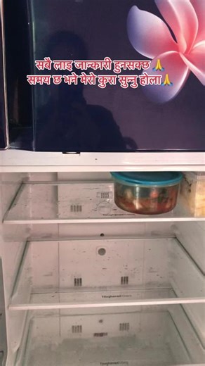 Exploring a Neatly Organized Refrigerator Interior