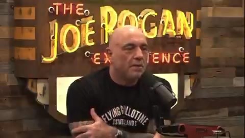 3.8K views · 211 reactions | Joe Rogan tells Woody Harrelson: Everything Dr. Robert Malone said has turned out to be true. From the lab leaks, to the COVID vaccine having side effects, and whether they lied about the studies was all true. @joeroganhq | Linda Traitz | Facebook