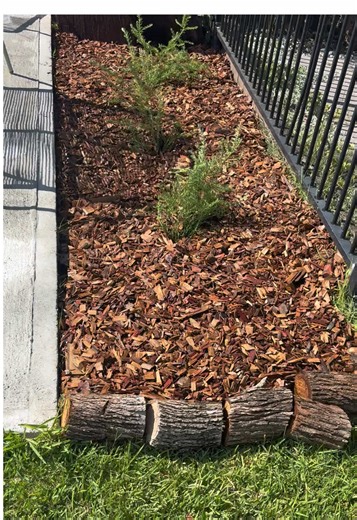 Easy Gardening Hacks for Low-Maintenance Yards