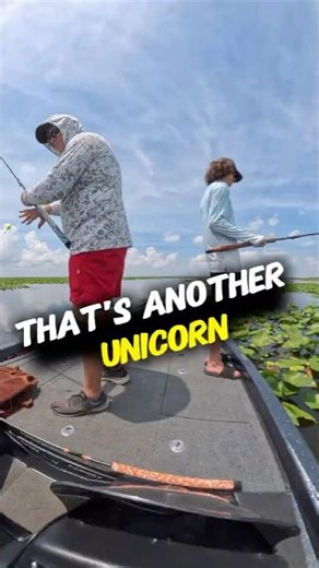 Moved right in on my fishing spot! #shellcracker #fishing #bluegill #crappie #freshwaterfishing