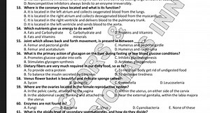 D. Noncompetitive inhibitors always binds to an enzyme irrevers... | Filo
