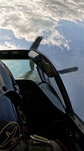 P-51 "Frances Dell" aerobatics Hahnweide 2025