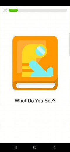 What Do You See? - Ss duolingo abc