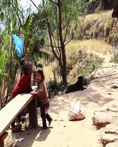 56K views · 727 reactions | A traditional village documentary about a happy family - My village official videos | Harvest Village | Facebook