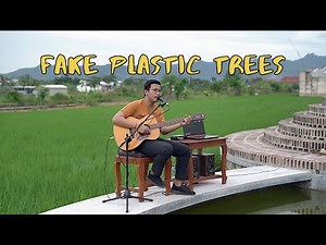 Radiohead - Fake Plastic Trees (Acoustic Cover)