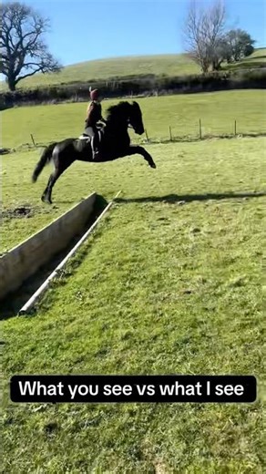 Horse jumping // Go Pro // What you see vs what I see