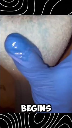 How Pipes Are Repaired Without Digging (CIPP Process Explained)