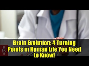 Brain Evolution: 4 Turning Points in Human Life You Need to Know!
