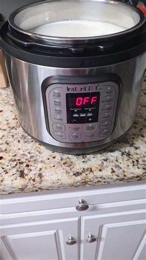 Easy Homemade Greek Yogurt in Instant Pot