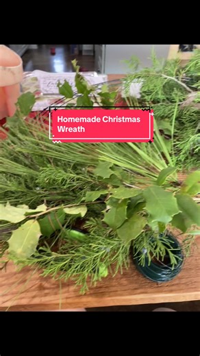 Making a homemade wreath with evergreens from the farm. TikTok inspired me. Hobby Lobby provided the frame and decorations. #christmaswreath #wreath #wreathmaking #evergreenwreath #diywreath
