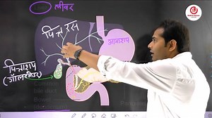 388K views · 3.2K reactions | Liver का पूरा Concept इस Short Video...