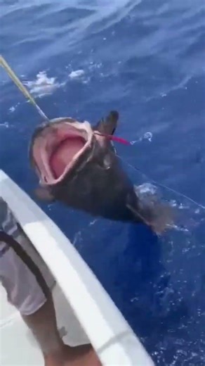 From Zero to Hero: Crazy Fishing Day! 🎣💯