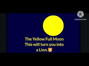 The Yellow Full Moon TF RP (Lion TF/Morph)