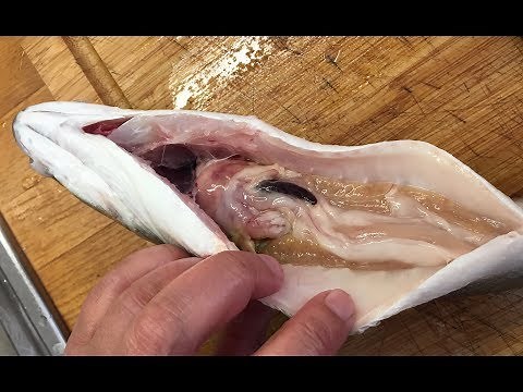 Kurzanleitung: Wolfsbarsch schuppen und ausnehmen