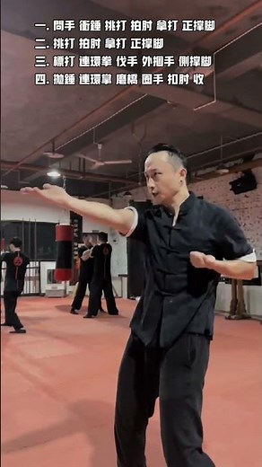 Watch Master Tu Tengyao's Jaw-Dropping Wing Chun Techniques - English subs