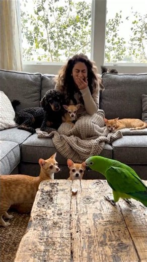 Parrot Wakes Up EVERYONE! 🦜😱 Sleeping Pets & Owner Scramble | Funny Prank