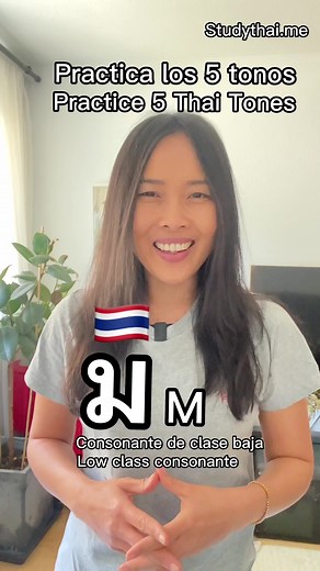 Cinco tonos en Tailandés Five tones in Thai Tono Medio Mid Tone Maa มา Venir Come Tono Bajo Low Tone Màa หม่า Remojar para ablandar Soak to soften Tono descendente Falling Tone Mâa ม่า No significa nada, a veces pasa No meanings, sometimes happens Tono Alto High Tone Máa ม้า Caballo Horse Tono ascendente Rising Tone Mǎa หมา Perro Dog ————————————😊 #aprendertailandes #aprendetailandes #tonosentailandes #thaitone #thaitones #learnthai #studythai #thailanguage