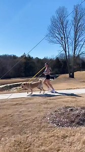 Hi!🤪 | Funny Video