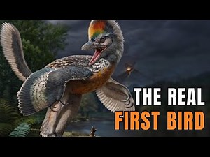 The Fossil That Overthrew Archaeopteryx