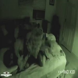 Paranormal Activity Caught On Camera 2 | Best Documentary