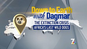 Down to Earth: The Extinction Crisis –Africa's Last Wild Dogs