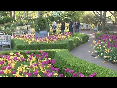 Spring at Atlanta Botanical Garden | Good Day Atlanta