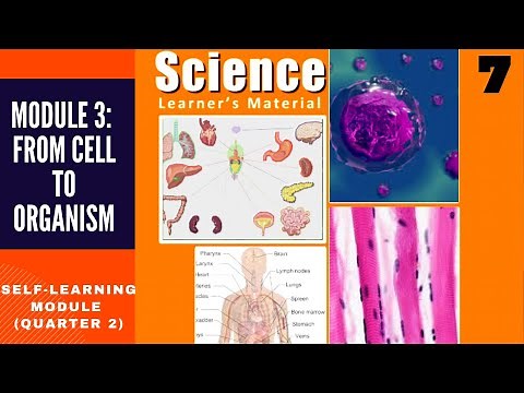 SCIENCE 7 | QUARTER 2 | MODULE 3 FROM CELL TO ORGANISM| SELF-LEARNING MODULES