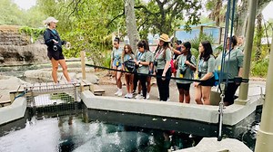 Middle schoolers take part in manatee conservation at ZooTampa