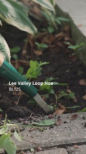 2.9K views · 16 reactions | Weeding while kneeling can be hard on your back and knees. Whether you’re clearing new weed seedlings or tackling deep-rooted invaders, we designed these tools to be easy on your body without bending over. Shop now: https://bit.ly/4nCVQ0d | Lee Valley Tools | Facebook