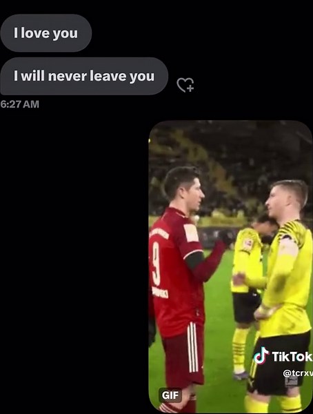 Lewandowski's Journey: From Dortmund to Bayern