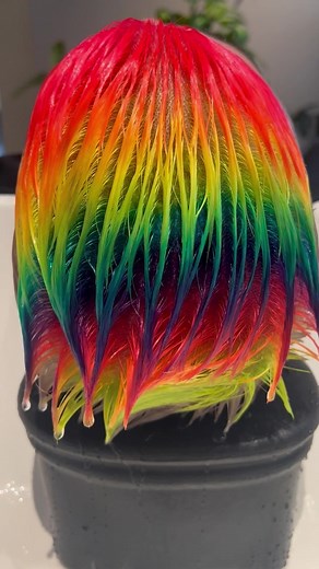 ✨Neon Rainbow Hair Transformation 🌈 I love neon rainbows!! The brighter, always the better 😈 #rainbowhair #vibranthair #hairtransformation #hairstylist