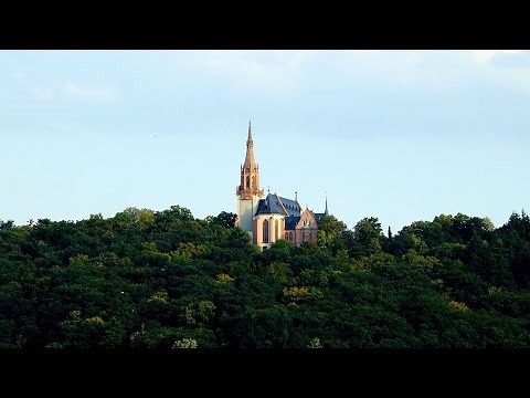 ‘Columba Aspexit’ by Hildegard of Bingen - performed by Catherine King