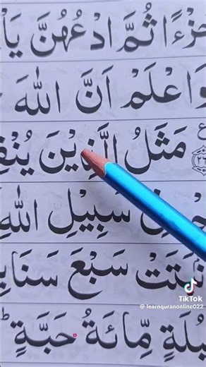 Learn Quran Online with Expert Teacher | Quran Classes for Kids & Adults in UK & USA