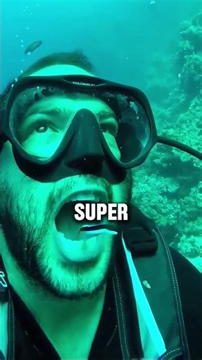 Why are sharks afraid of this fish?