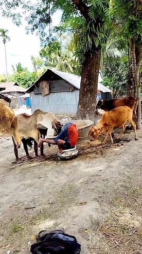 1.1M views · 6K reactions | Cow funny藍藍 #reels #funny #comedy #reelsvideo #reelsviral #funnyreels #funnyvideos #foryou #foryoupage #reelsfypシ | Your Funny bro | Facebook