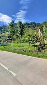 PUNCAK 2 - crossing the magical pine forest that leaves people spellbound - road trip adventure Indonesia Puncak 2 Sukamakmur Bogor west Java Indonesia #puncak2 #TropicalVibes #ASMRNature #IndonesiaBeauty #RelaxingSounds #GlobalNature #Wanderlust #BogorNature #IndonesianMountains | Bang Benk