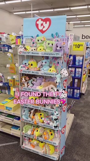 Adorable Ty Beanie Babies Collection | Kawaii Plush Toys