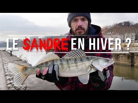Comment pêcher le sandre en hiver ? - [Street Fishing FISHARE]