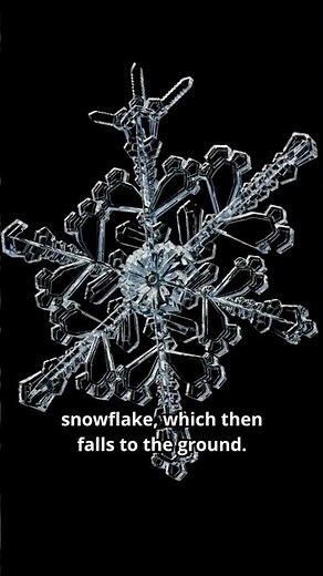 How snowflakes form ❄️
