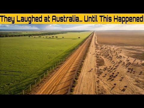 Australia’s 5,600km Fence That Changed History | The Untold Story of the Dingo Barrier"