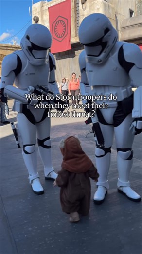 Ahjile Miller, RN | Epic Quests | They expected rebels. They expected blasters. They did not expect a baby Ewok with zero fear and maximum confidence. She waddled forward... | Instagram