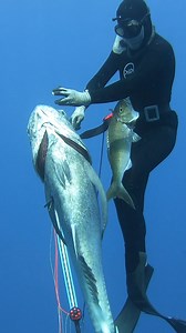 Spearfishing The Strongest Fish in The Sea | Ryan Myers